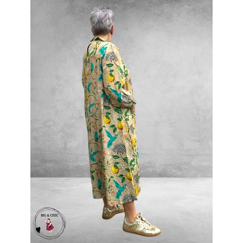 Noen Jurk Maxi Citroenen/Vogels