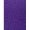 Pamela Mann Panty Footless Purple 90 Denier 
